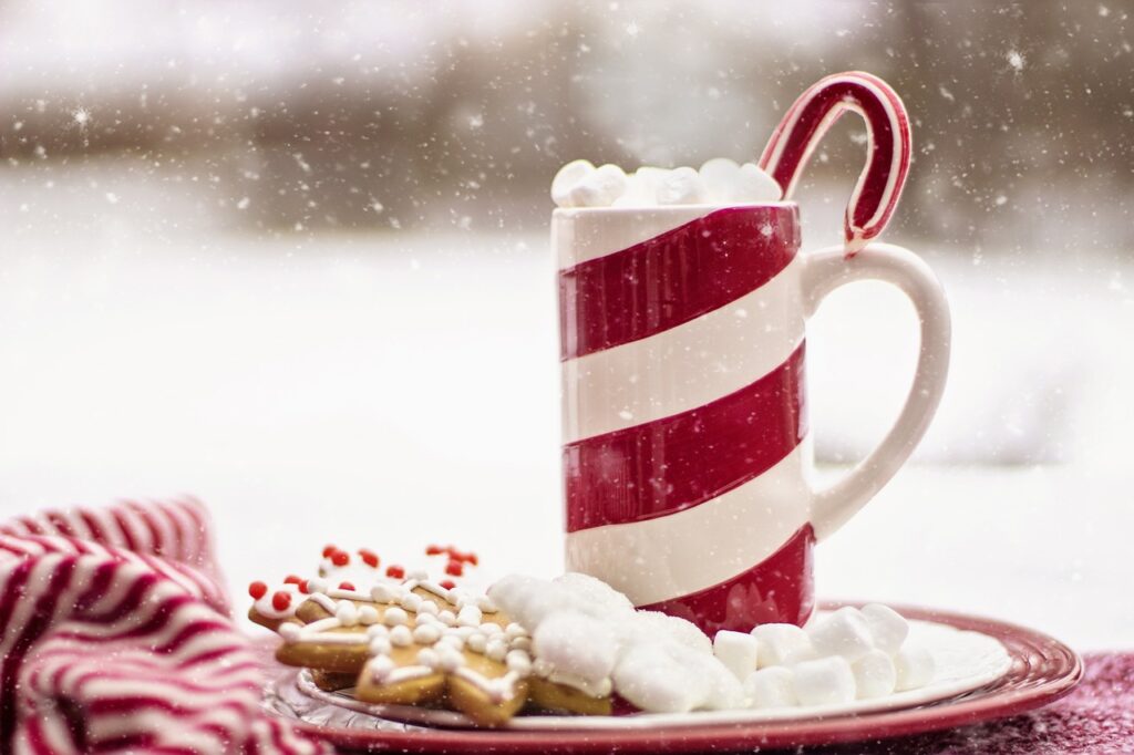 cocoa, hot chocolate, candy cane-1908020.jpg
